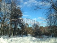 Лот: 25292825. Фото: 4. участок , СНТ Ладное СНТ Ладное... Красноярск