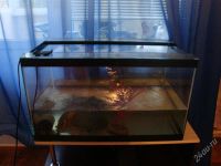 Лот: 1888084. Фото: 2. Аквариум 110л. Аквариумистика