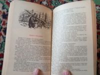 Лот: 21170178. Фото: 3. Дмитрий Нагишкин Город золотого... Литература, книги