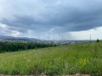 Лот: 25295888. Фото: 11. участок , СНТ Восточное СНТ Восточное...