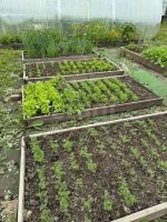 Лот: 25353787. Фото: 15. 3-комн. дача , садоводческое некоммерческое...