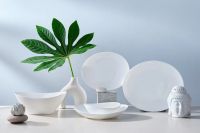 Лот: 23948261. Фото: 4. Тарелка обеденная EVIO Gastro... Красноярск