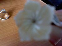 Лот: 1103196. Фото: 2. Серебряное кольцо с перламутром. Ювелирные изделия, бижутерия, часы