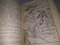 Лот: 18994397. Фото: 6. Oz. Славкович Д. Федоскины каникулы...