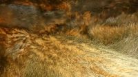 Лот: 4701910. Фото: 2. Дубленка женская натуральный мех... Женская одежда