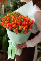 Лот: 15585070. Фото: 11. Тюльпаны Пиони-бордо / из Голландии...