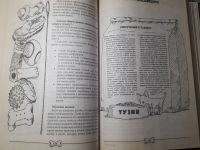 Лот: 21599461. Фото: 5. Карло де Вито Эмми Эммен Все о...