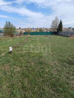 Лот: 25361345. Фото: 2. участок , СНТ Заимка-1 СНТ Заимка-1... Продажа