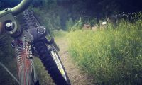 Лот: 4296516. Фото: 3. продам MTB стрит ,дёрт на раме... Спортивные товары