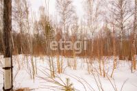 Лот: 25294804. Фото: 8. участок , ДНТ Роза Ветров ДНТ...