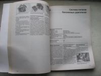 Лот: 11092283. Фото: 4. Книга Peugeot 406 1996-1999 г... Красноярск