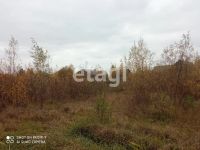 Лот: 25289661. Фото: 7. участок , СНТ Есаульский Бор СНТ...