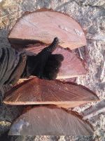 Лот: 6123894. Фото: 2. Дрова. Дрова горбыль пиленный... Дрова, топливо