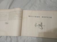 Лот: 19495321. Фото: 9. Альбом пород лошадей СССР. 1953...