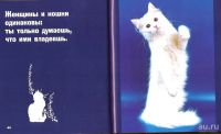 Лот: 15209879. Фото: 7. Федин Сергей (составитель) ~ Кошки...