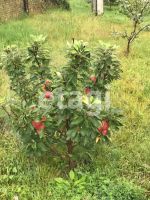 Лот: 25293246. Фото: 20. 3-комн. дом , деревня Барабаново...