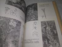 Лот: 25317501. Фото: 6. oz/вбЮ(4092347)Полянский И. И...