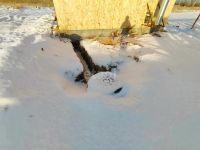 Лот: 25287354. Фото: 3. 2-комн. дом , Сосновоборск Сосновоборск... Недвижимость