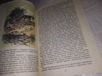Лот: 16477563. Фото: 5. Сирге Р., Маленький, да удаленький...