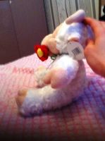 Лот: 10684960. Фото: 4. Мягкие игрушки.петушок и барашек. Красноярск