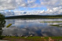 Лот: 13739053. Фото: 4. Участок. Красноярск
