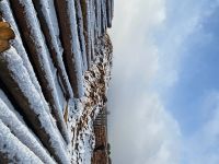 Лот: 9889889. Фото: 2. Дрова пиленые. Строительные материалы