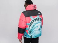 Лот: 20870932. Фото: 4. Куртка зимняя The North Face x... Красноярск