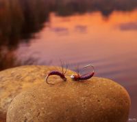 Лот: 13634861. Фото: 2. Lilac Sunset (Сиреневый закат... Рыбалка