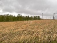 Лот: 25719346. Фото: 13. участок , садоводческое некоммерческое...