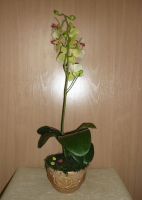 Лот: 1963709. Фото: 2. цветочная композиция "Орхидея". Предметы интерьера