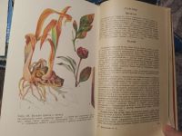 Лот: 25278559. Фото: 4. Жемчужина Стенина Тарасова Защита... Красноярск