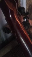 Лот: 14483786. Фото: 5. гитара 6 струнная см. описание...