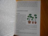 Лот: 7596883. Фото: 4. Книга Комнатные растения. Оформление... Красноярск