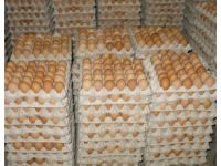 Лот: 5396079. Фото: 2. Яйцо куриное (с птицефабрик). Продукты