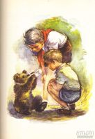 Лот: 17288993. Фото: 3. Демостене Ботез, Йонел Поп - Встречи... Литература, книги