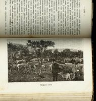 Лот: 20353890. Фото: 7. Сельма Лагерлеф. Чудесное путешествие...