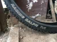 Лот: 15948130. Фото: 4. Schwalbe racing ralf 24x2.4. Красноярск