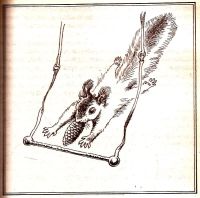 Лот: 15403616. Фото: 10. Старикович Станислав - Зверинец...