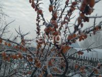 Лот: 25293266. Фото: 11. 3-комн. дача , СНТ Октябрьское...