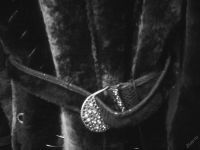 Лот: 5081613. Фото: 4. Шуба мутоновая 46р. Цену снизила. Красноярск