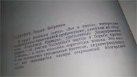 Лот: 10485558. Фото: 5. Все и никто. Из сборника "Пороховой...