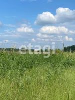 Лот: 25295077. Фото: 3. участок , село Частоостровское... Недвижимость