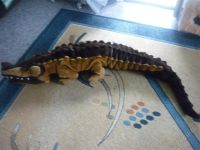 Лот: 2916475. Фото: 2. Мягкая игрушка-сидушка Крокодил... Игрушки