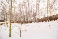 Лот: 25294810. Фото: 14. участок , ДНТ Чёрная Сопка ДНТ...