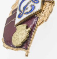 Лот: 25030363. Фото: 5. Знак Почётного члена ДСО "Динамо...