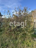 Лот: 25287131. Фото: 17. 2-комн. дача , садоводческое некоммерческое...