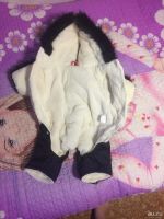 Лот: 8365735. Фото: 3. Комбинезон для собачки новый. Растения и животные