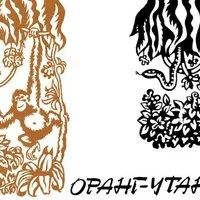 Лот: 11906753. Фото: 3. Барбара Харриссон - Орангутан... Литература, книги