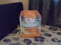 Лот: 2118478. Фото: 2. Клетка для хомяков №3 (новая). Животные и уход