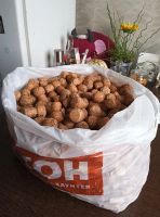 Лот: 25811431. Фото: 3. Пробки винные и шампанские . Много. Коллекционирование, моделизм